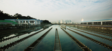 兩會(huì)聲音：城市“新洼地”之痛 如何補(bǔ)齊城市地下管網(wǎng)短板？