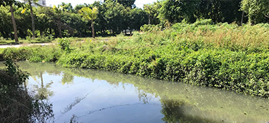 沿用城市思維？農村黑臭水體治理“行不通”！