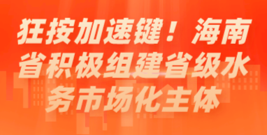 狂按加速鍵！海南省積極組建省級水務市場化主體